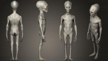 3D model Grey Alien8 (STL)